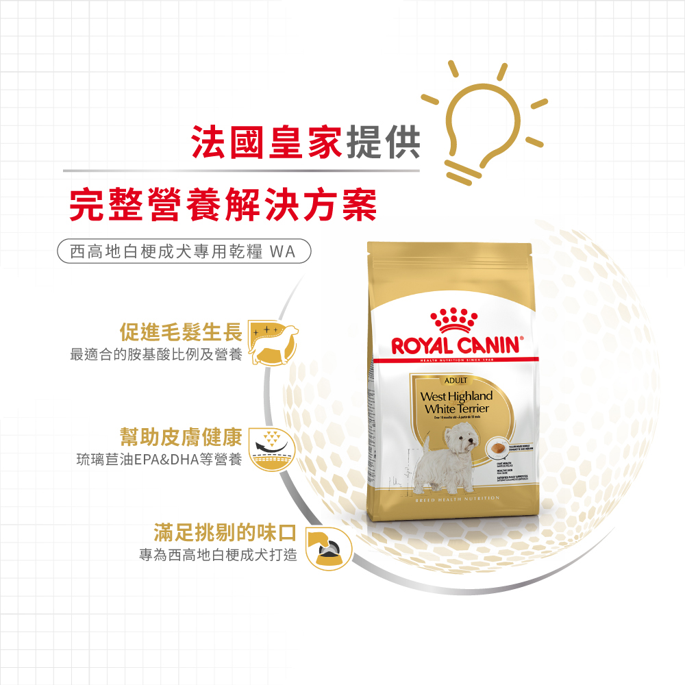 【Royal Canin法國皇家】西高地白梗成犬WA, , large