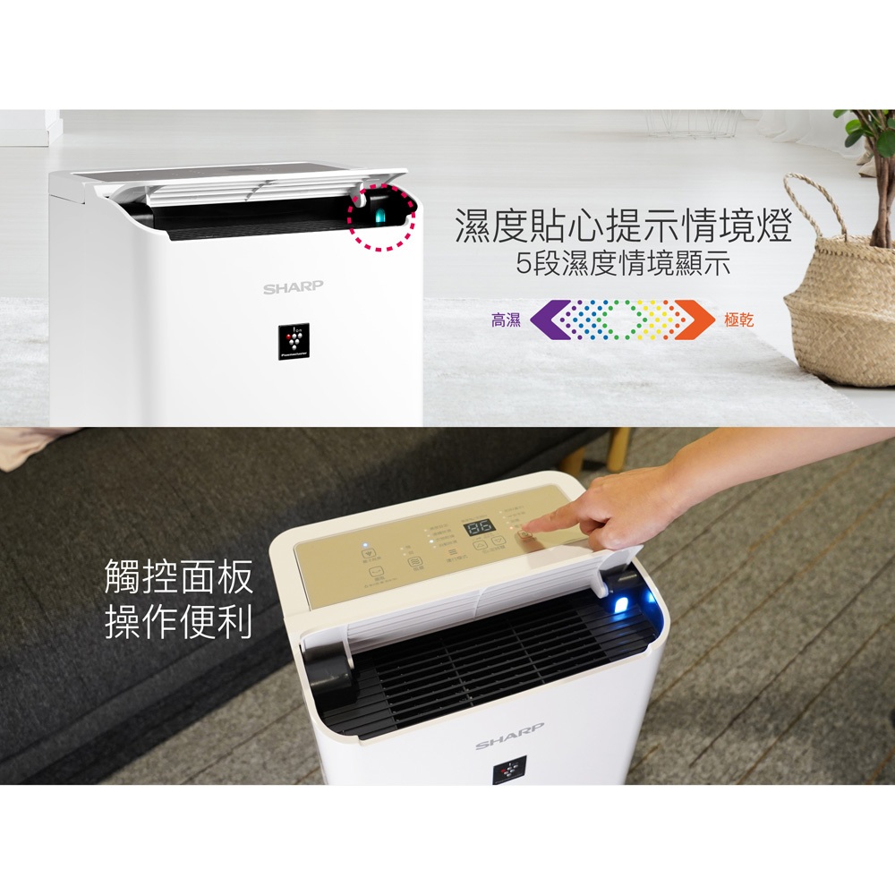 SHARP 夏普 10坪 一級節能 自動除菌離子 強效除濕機 DW-LT8HT-W, , large