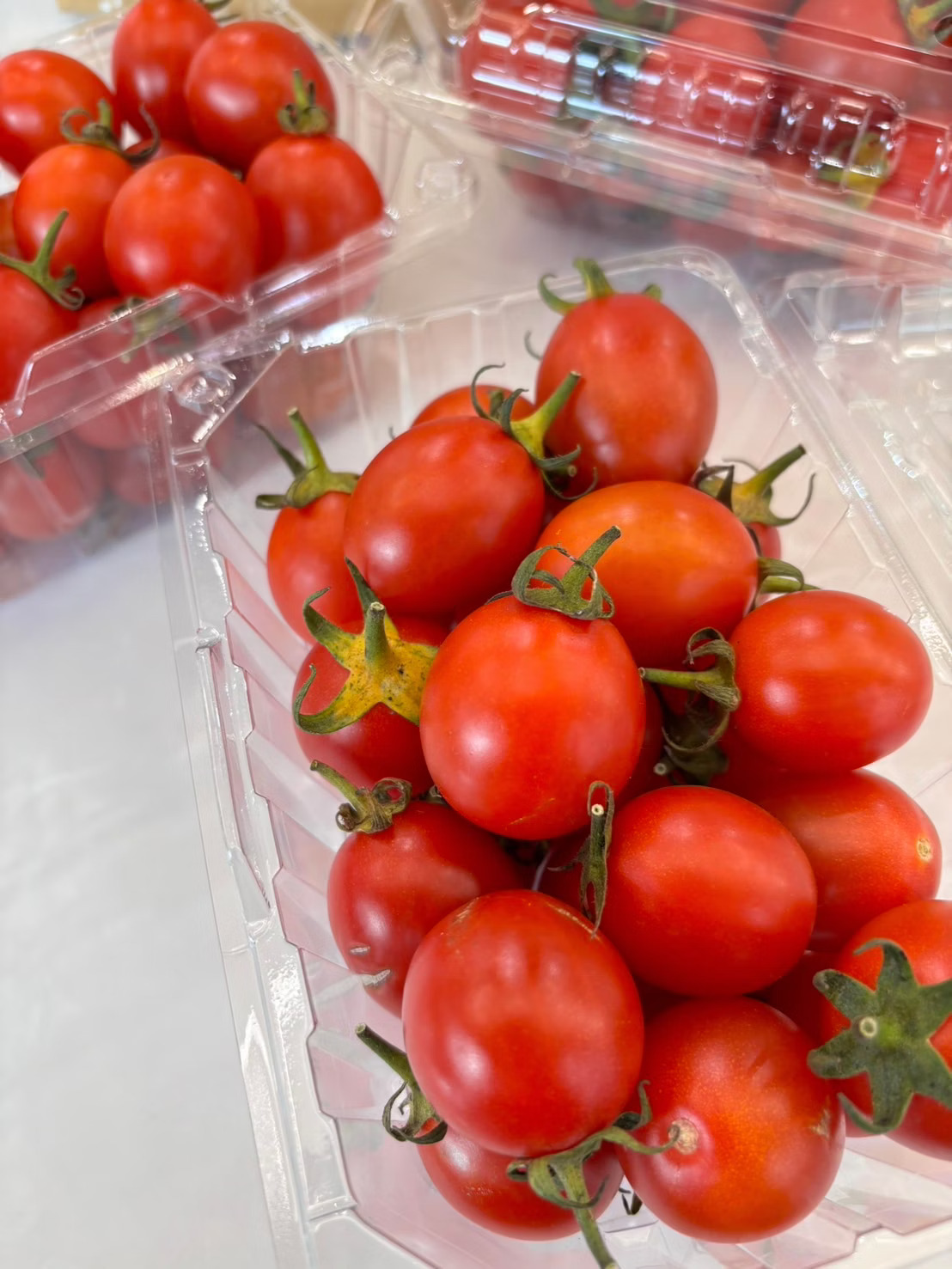 Cherry Tomato, , large