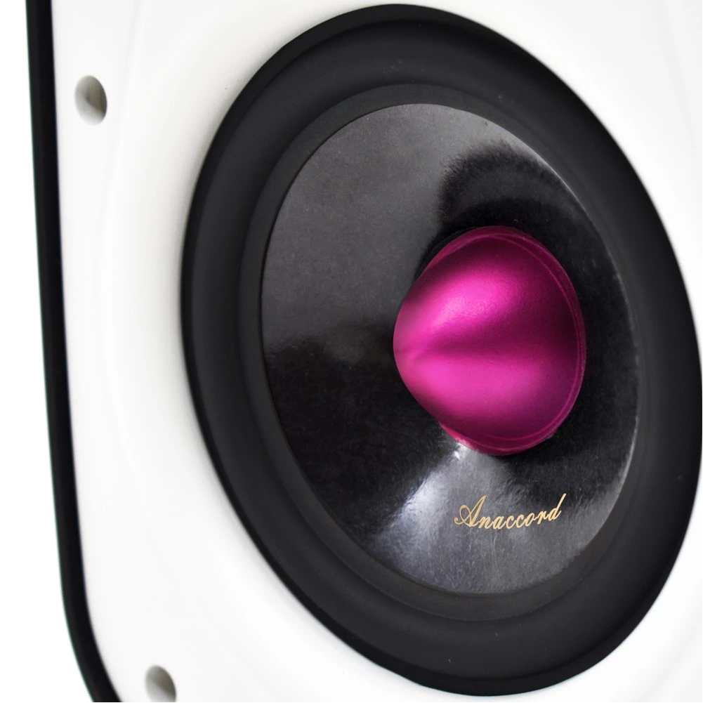 Anaccord 雅那歌音響 RUBY DC-B5| 桌上型重低音防水喇叭一組｜經典黑 現貨 家樂福線上, , large
