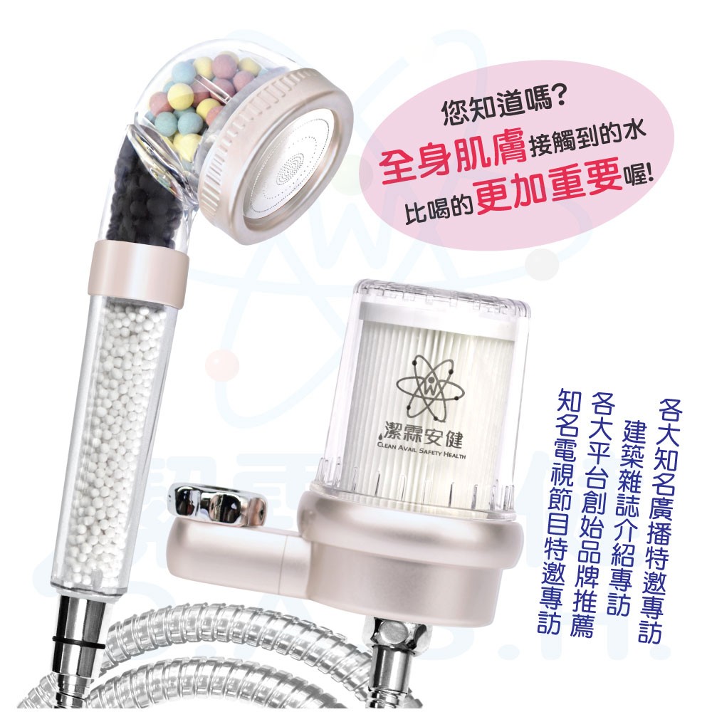 Jielin Anjian Waterfall Negative Ion Shower Water Purifier - Elegant Silver Rose