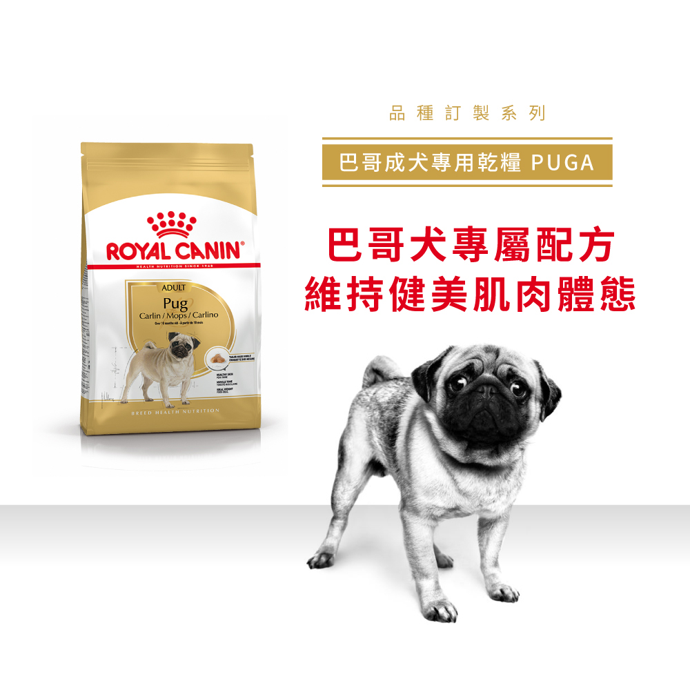 【Royal Canin法國皇家】巴戈成犬PUGA, , large