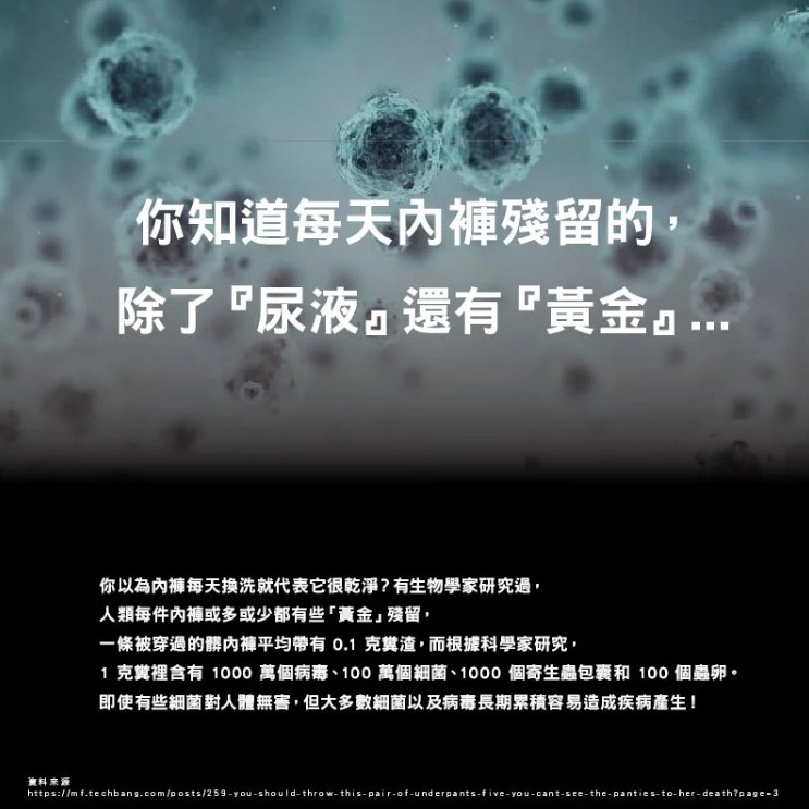 【AREXSPORT台灣製】AS-3419抑菌女內褲 銀纖維內褲 竹炭女內褲 女三角運動內褲 竹炭消臭 台灣製銀纖維抑菌, , large