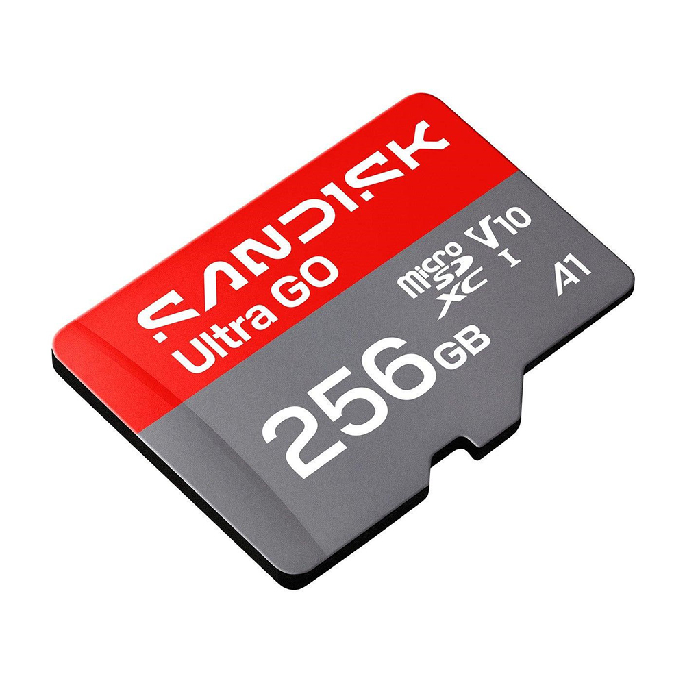 SanDisk microSD card, , large