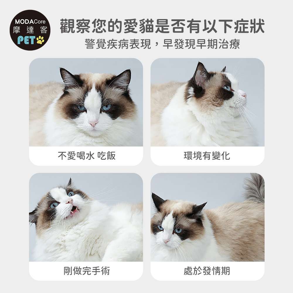 摩達客寵物KIMPETS貓砂尿液快速檢測顆粒包*2包入-貓咪血尿腎炎結石等初步可能症狀寵物健康, , large