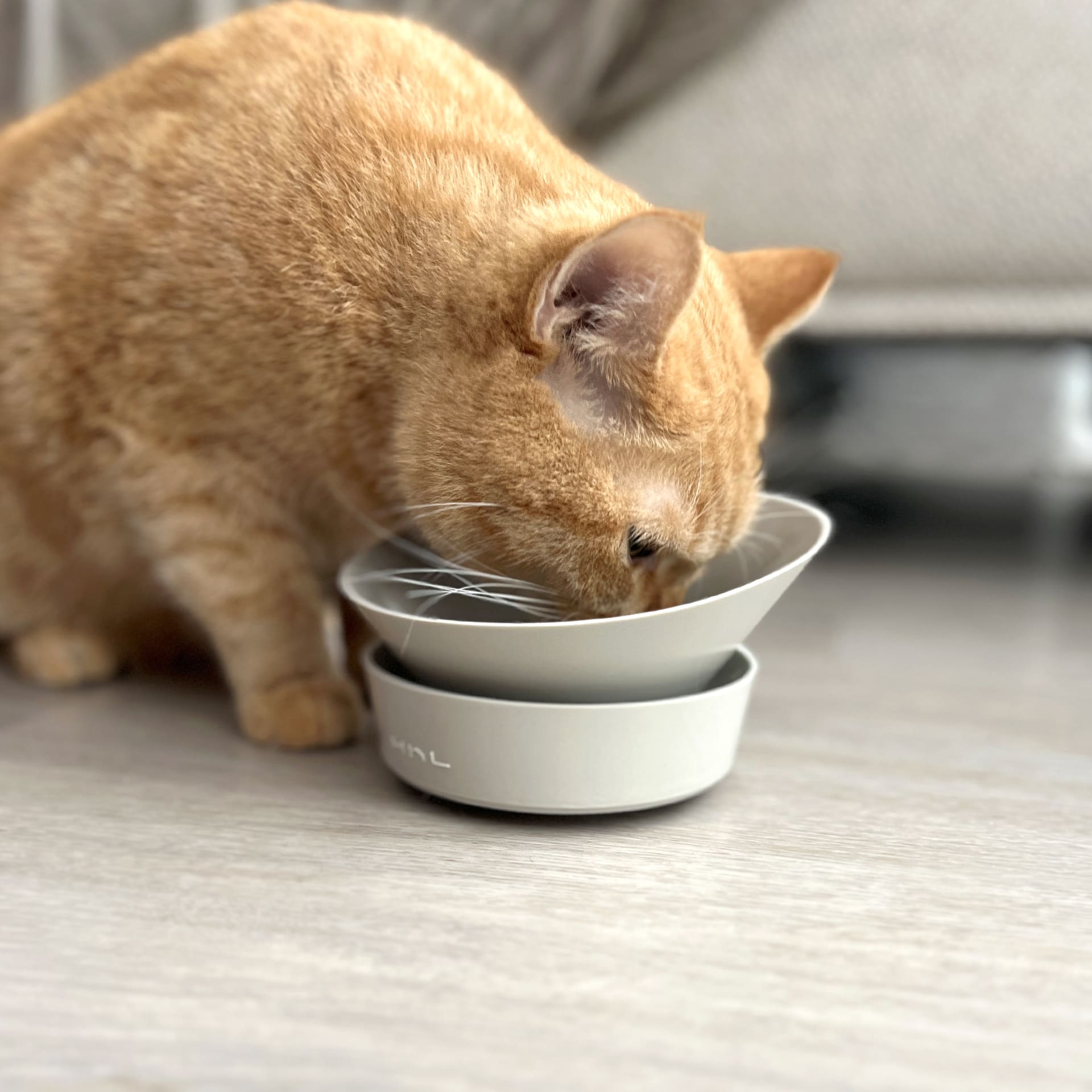 [HhL] MASTER BOWL-Ant-Proof Pet Bowl / Two Bowl (G+G), , large