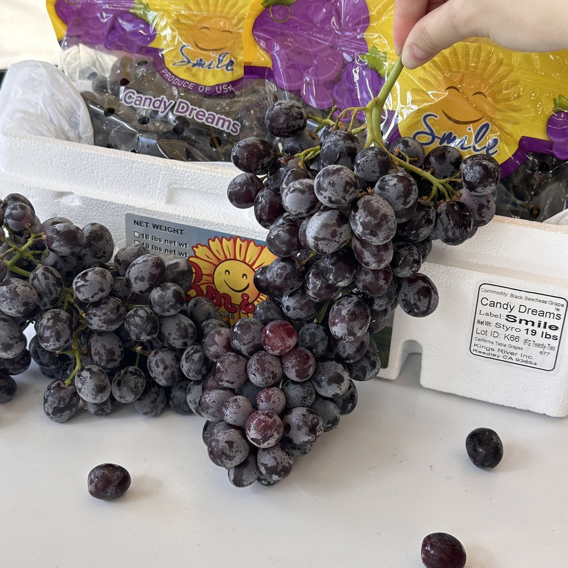 Black seedless grapes, , large