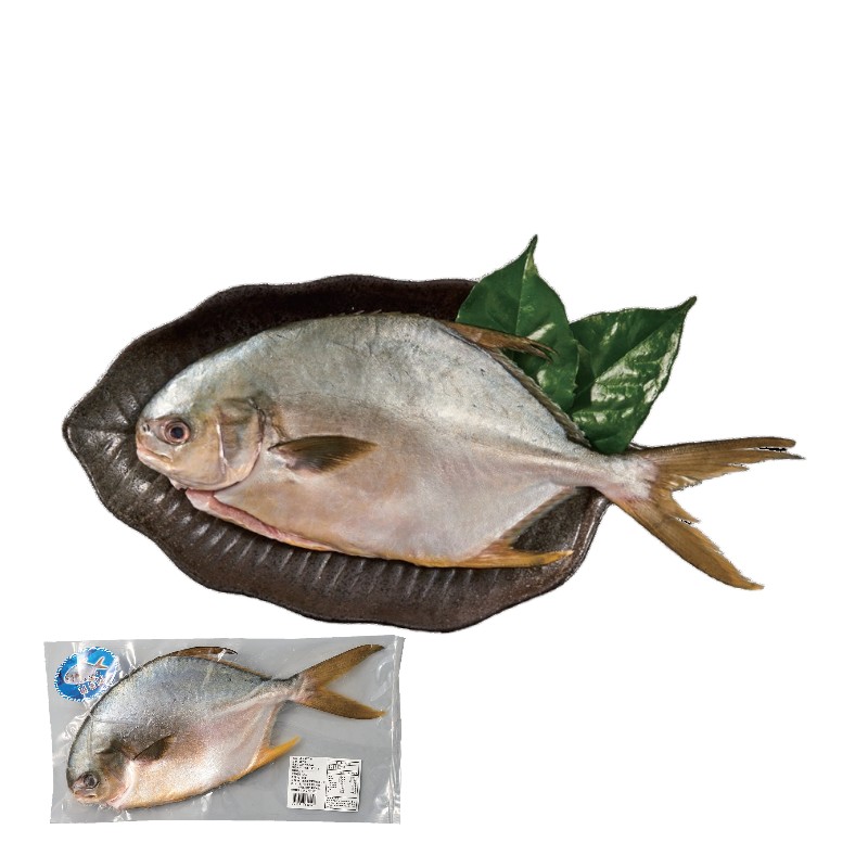 黃金鯧 二去(每尾約600-700克)因各地區供貨商不同，實際出貨包裝以出貨店庫存為準。