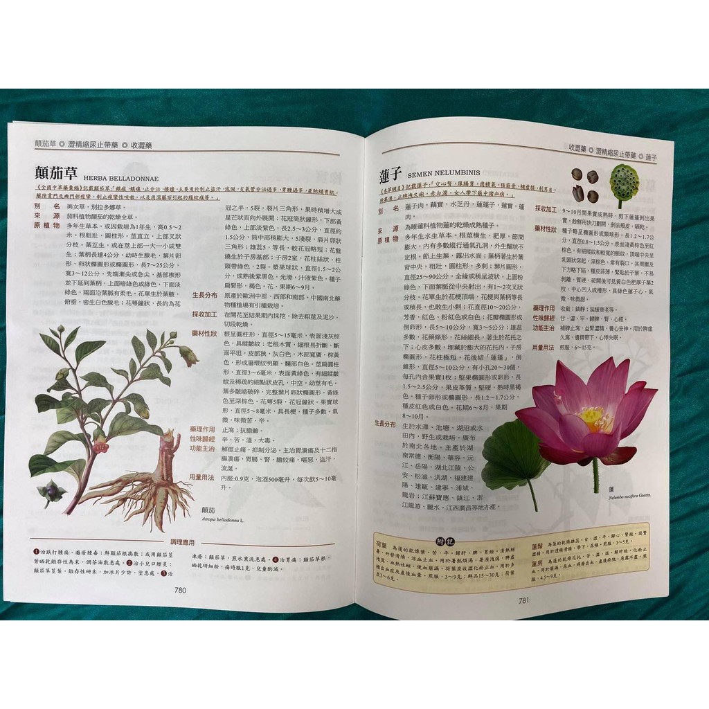 《南門書局》中國中草藥圖典 2冊~~中藥草藥, , large