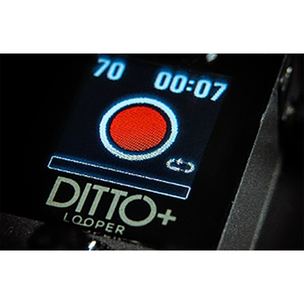 tc electronic Ditto+ Looper 效果器【敦煌樂器】, , large