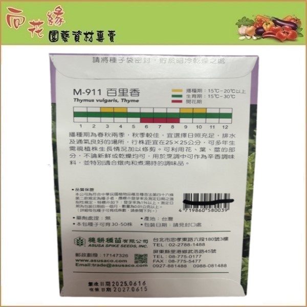 Skystar Thyme &ndash; Herb Seeds, , large