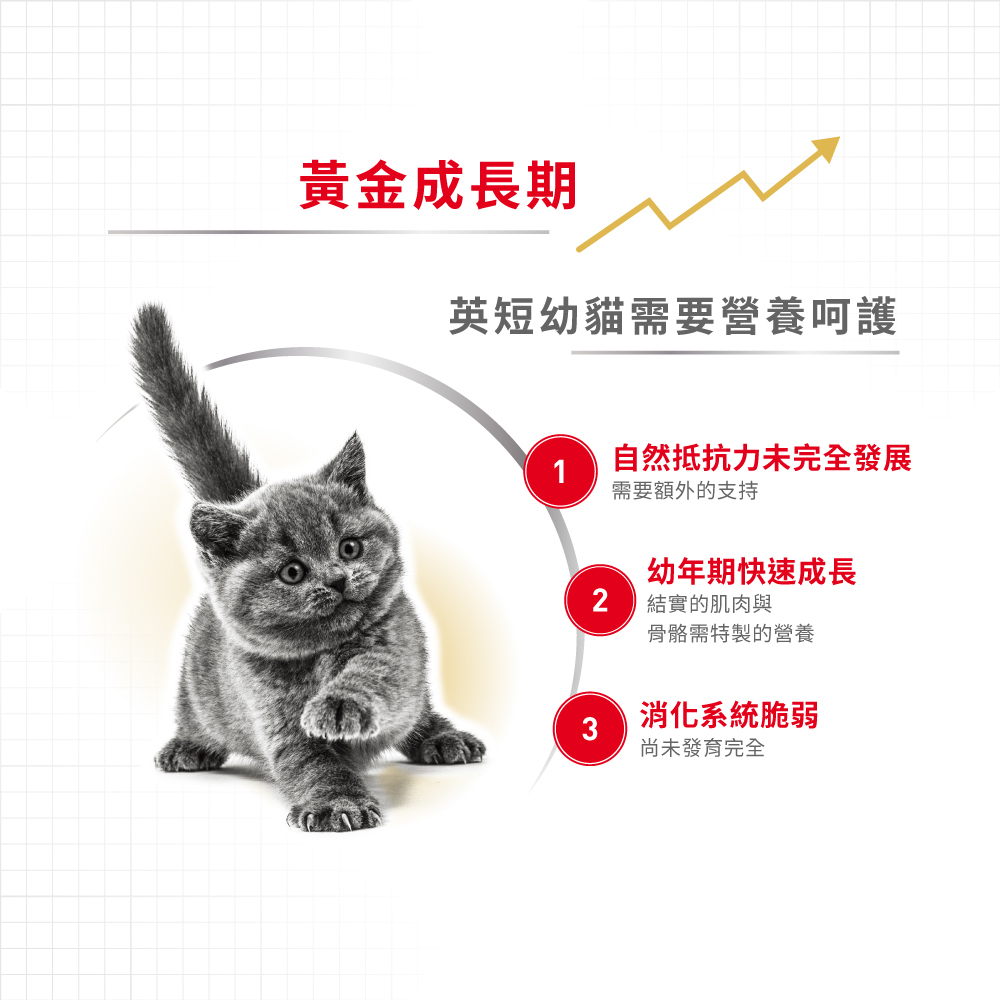 【Royal Canin法國皇家】英國短毛幼貓BSK38, , large