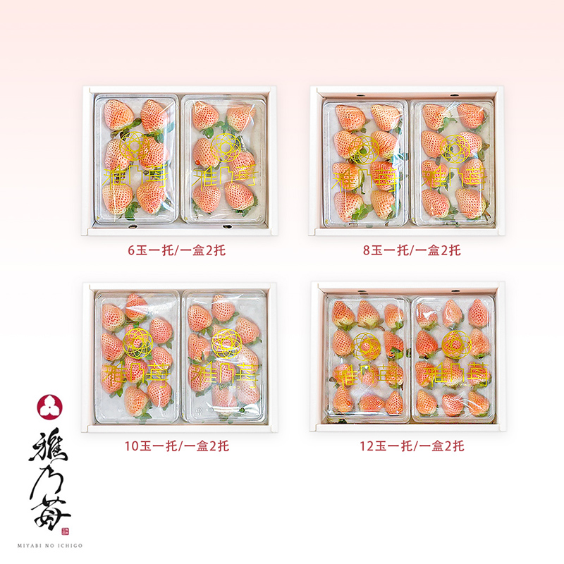 [馥果FruitGo]日本熊本 雅乃莓淡雪粉紅草莓禮盒-一盒兩托(附提袋), , large
