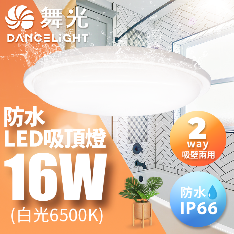 DanceLight舞光 LED 16W防水膠囊吸頂燈(白光), , large