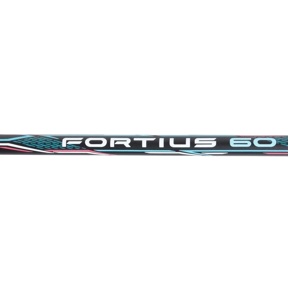 [秉宸] MIZUNO FORTIUS 60 羽球拍 73JTB360, , large