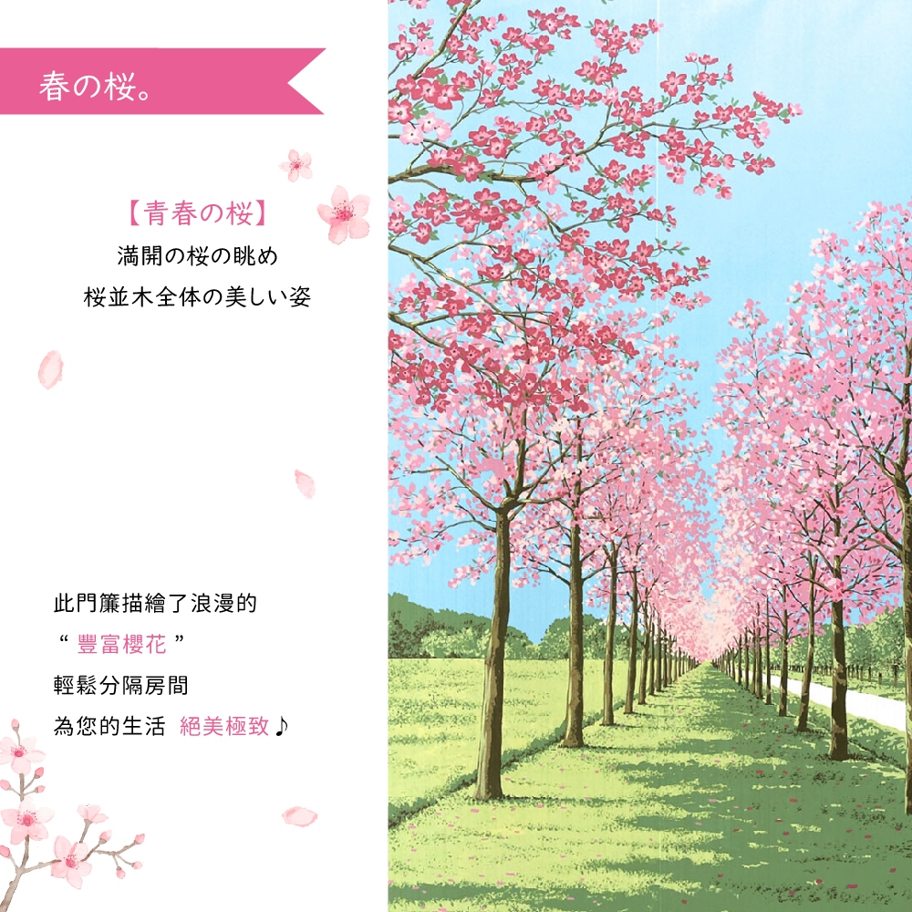 日本製【コスモ】長門簾《櫻花漫步》, , large