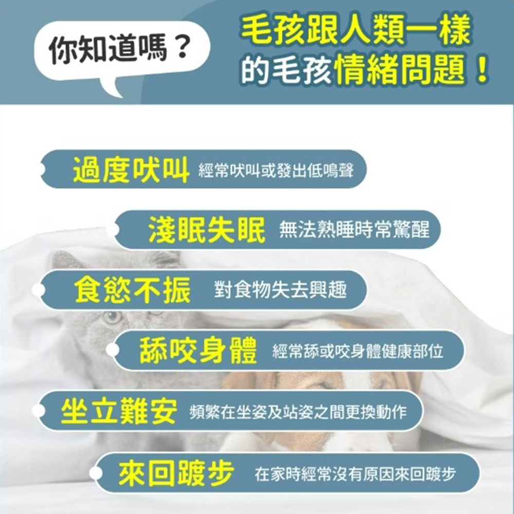 【毛孩時代】情緒穩定保養粉 貓狗保健食品/貓狗情緒保健品/寵物保健(2盒/60入), , large