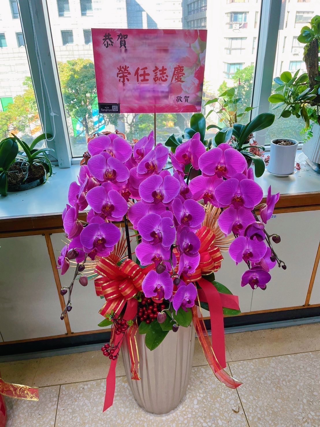 (桑妮亞花坊) 蘭花盆栽  升官、喬遷、生日祝壽、開幕  敬神  拜拜, , large