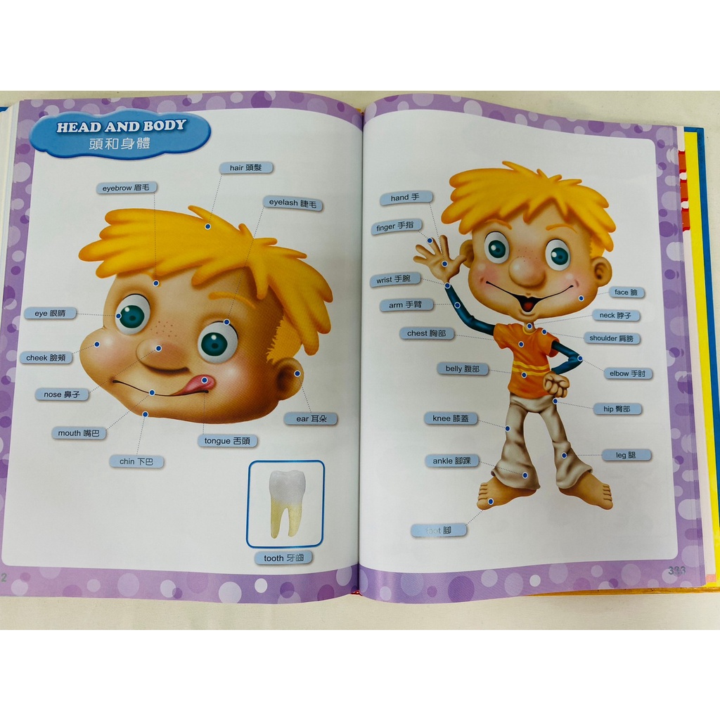 《南門書局》會說話的英漢圖典3000字 單購書, , large