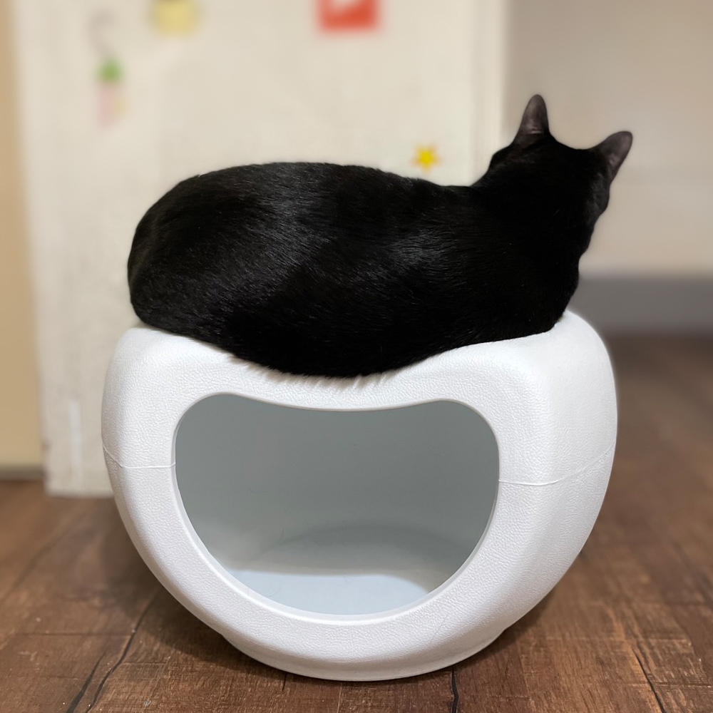 pet bed, , large