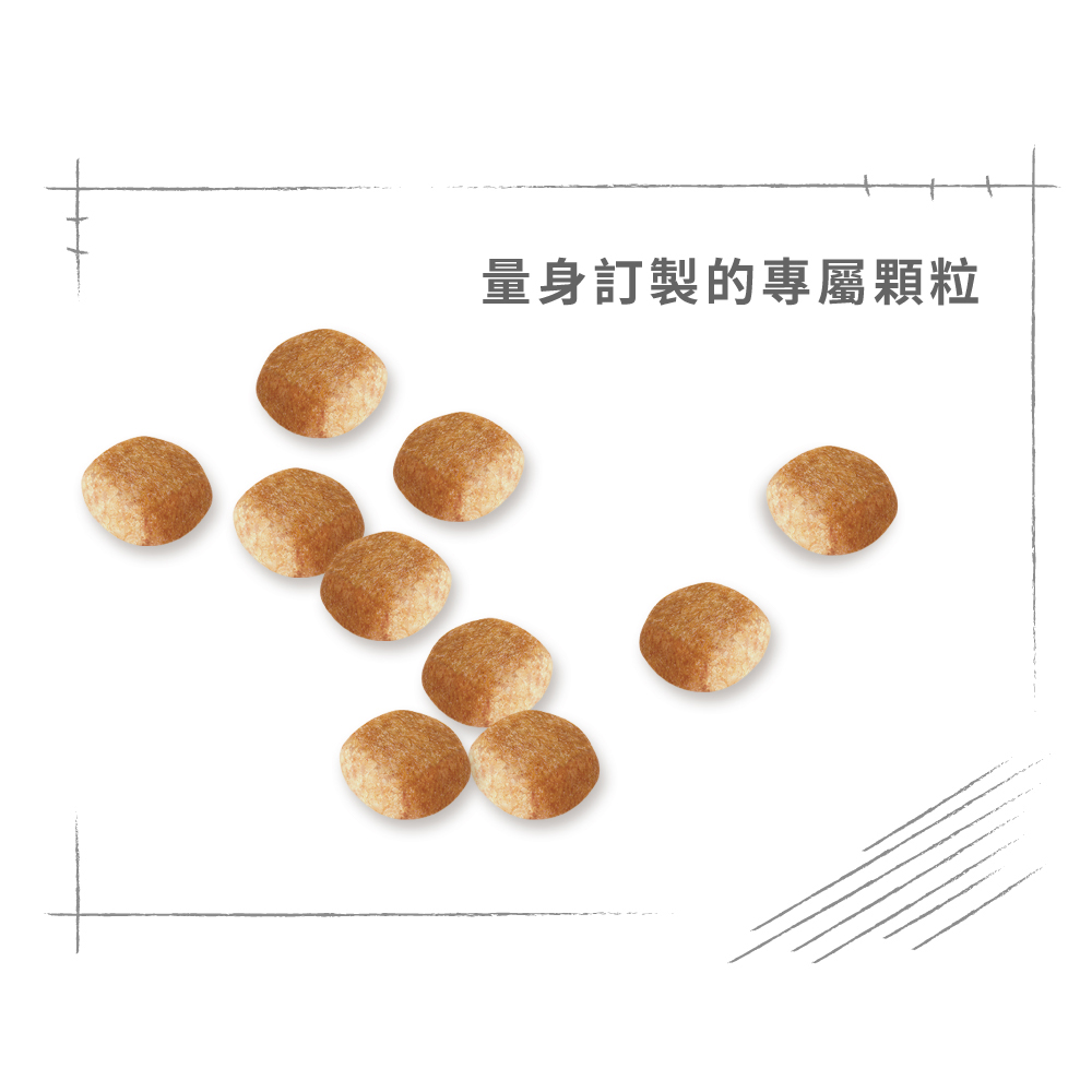 【Royal Canin法國皇家】迷你雪納瑞成犬SNA, , large