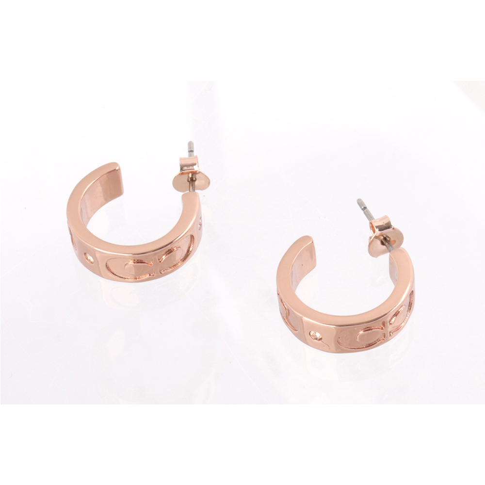 Earrings, , large