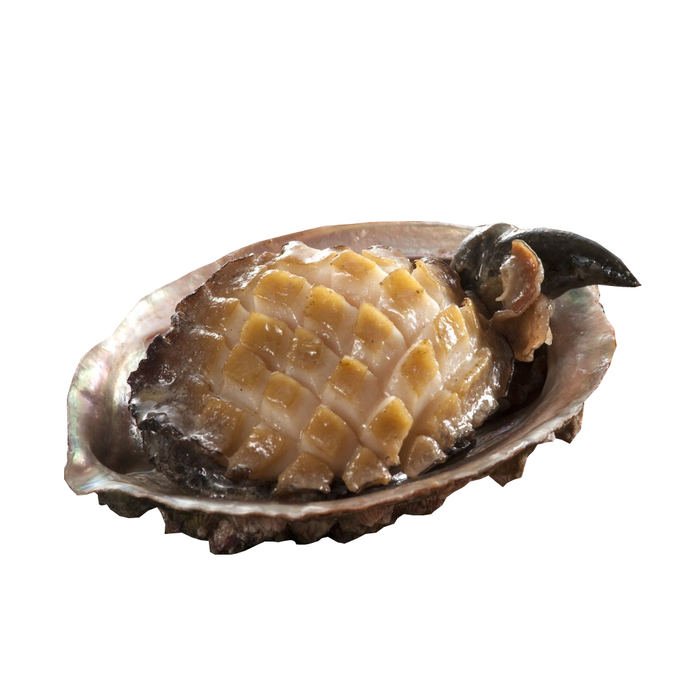 Premium South African Live-Frozen Shell-On Abalone, , large