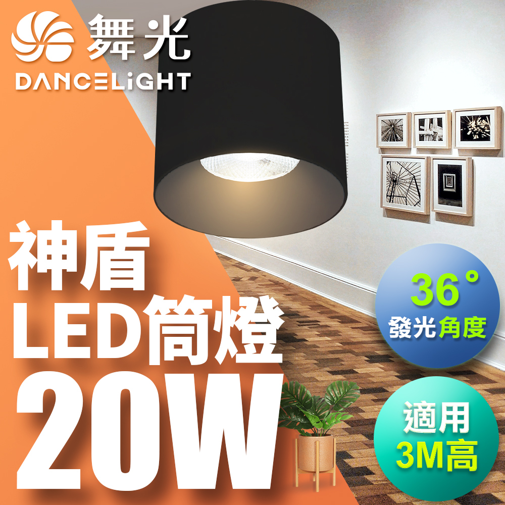 DanceLight舞光 20W 神盾筒燈 光束角36度 壓鑄鋁散熱快 全電壓 一體成形 時尚白/貴族黑(白光/黃光/自然光), , large