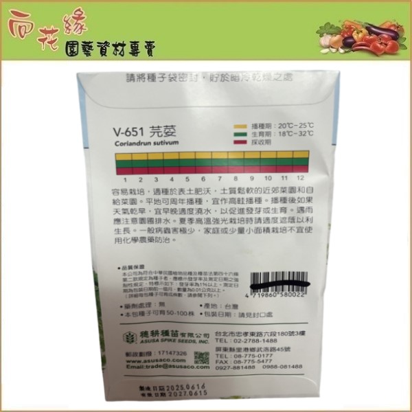 Skystar Coriander &ndash; Vegetable Seeds, , large