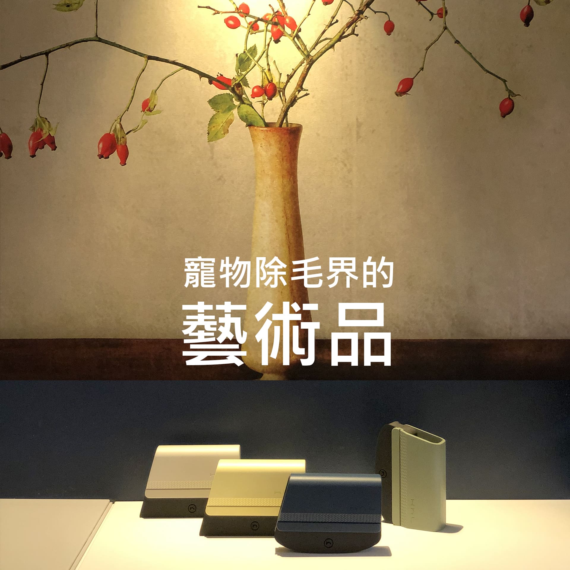 [HhL] 毛毛皂-寵物布面除毛橡皮擦 (套組) | 石墨綠, , large