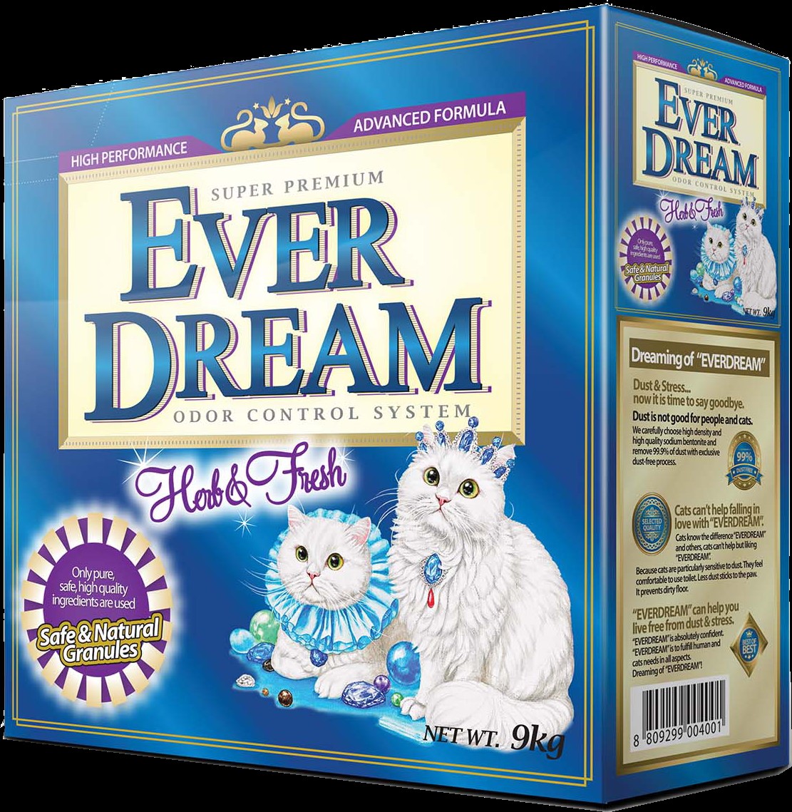 EVER DREAM