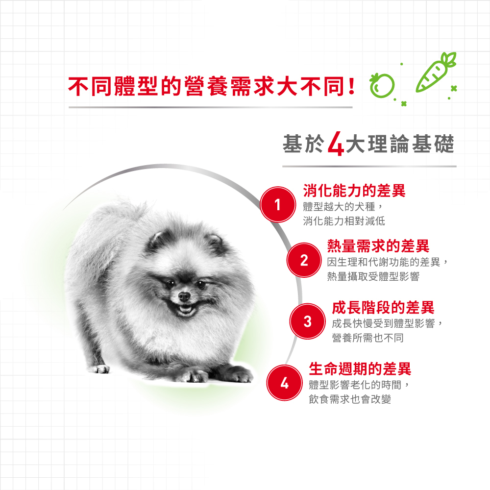 Royal Canin法國皇家 超小型成犬XSA, , large