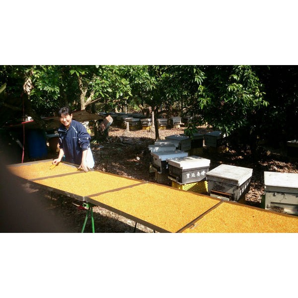[皇廷] A+油菜花蜂花粉300g瓶裝, , large
