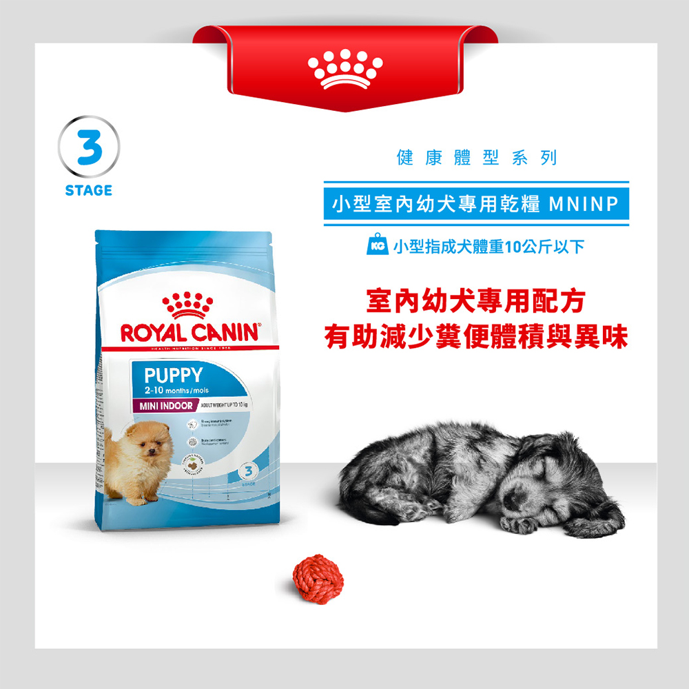 【Royal Canin法國皇家】小型室內幼犬MNINP, , large