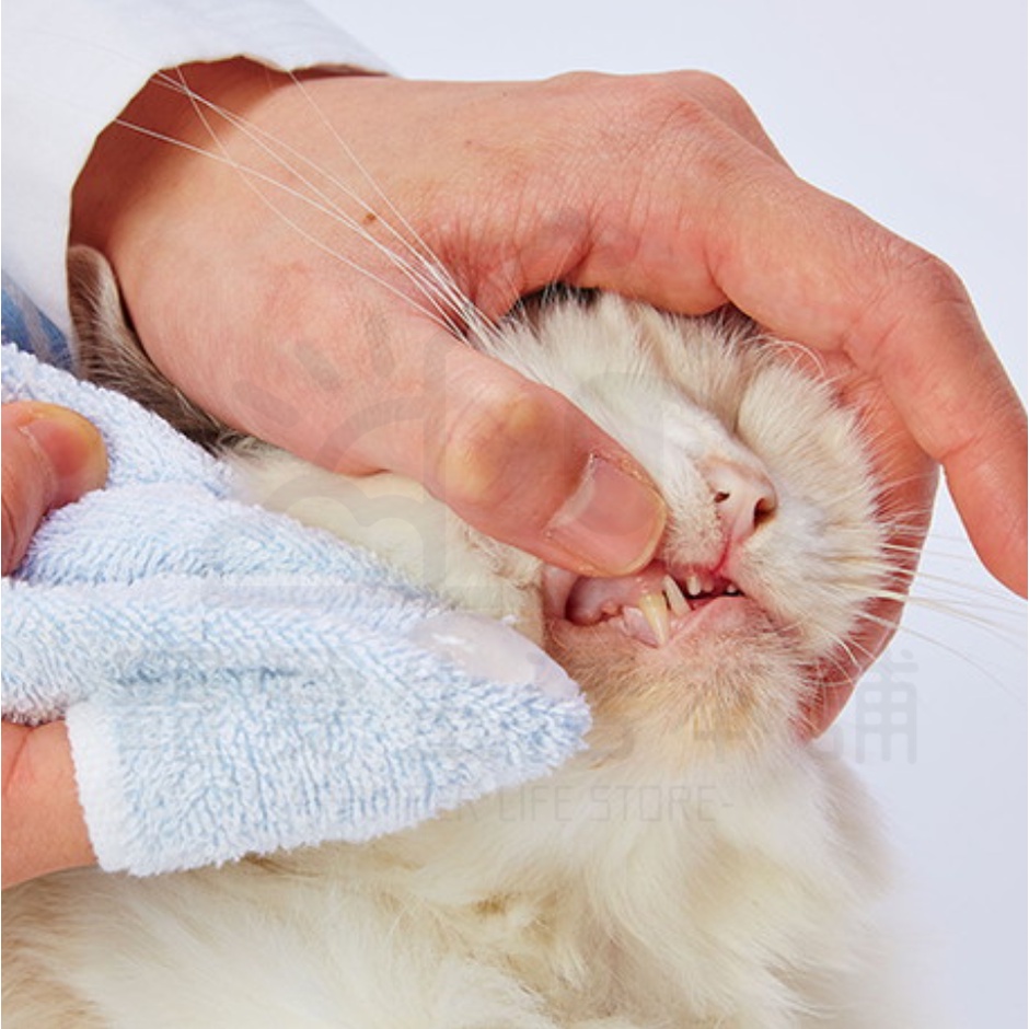 【寵愛生活本舖】Petio寵物凝膠牙膏50ml 犬貓可用 牛奶香草味 派地奧, , large