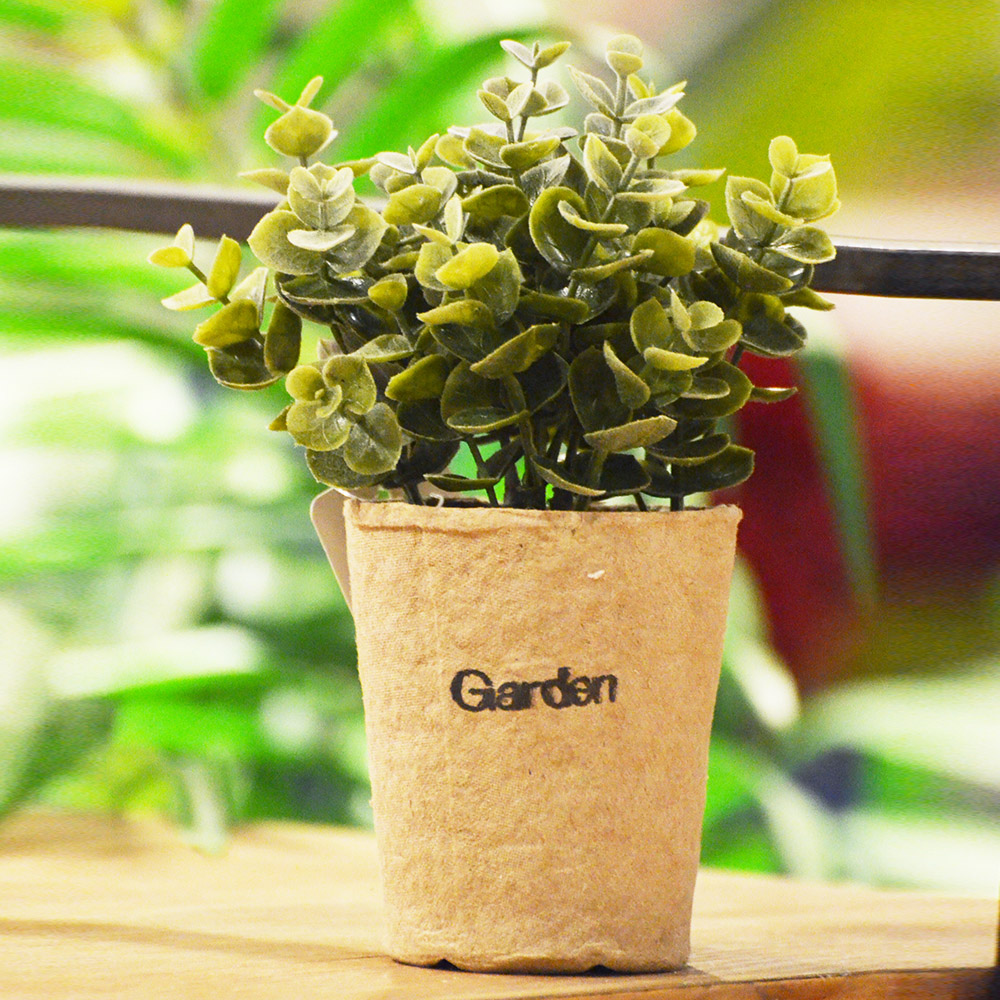 ARTIFICIAL PLANT-ZZ PLANT, , large