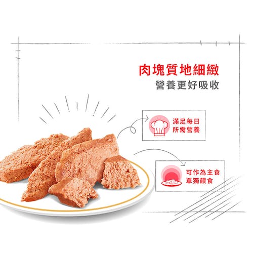 【拉拉寵物小舖】法國皇家 狗主食餐包 PAW 博美犬主食濕糧 狗主食濕糧, , large
