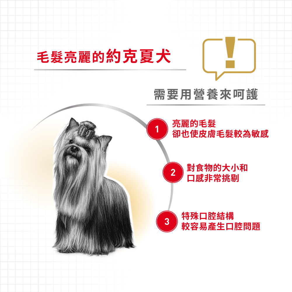 【Royal Canin法國皇家】約克夏成犬YSA, , large