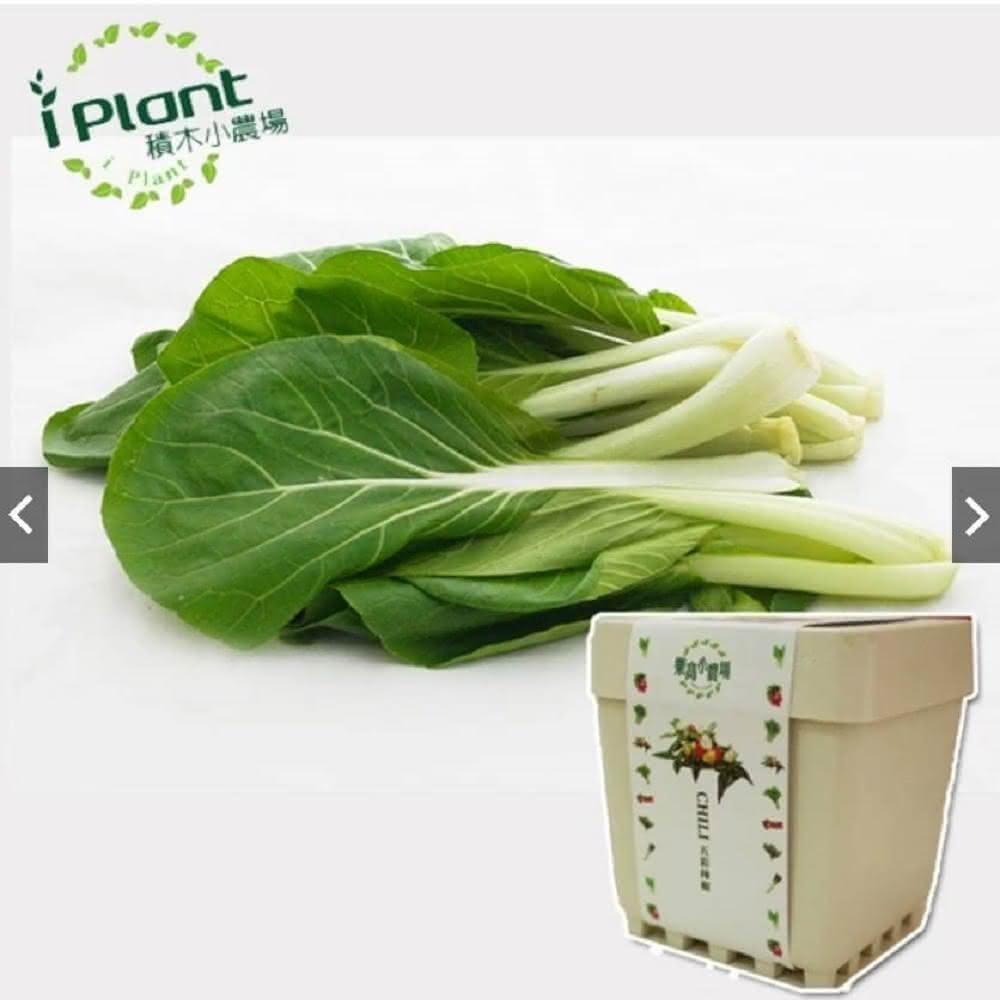 iPlant, , large
