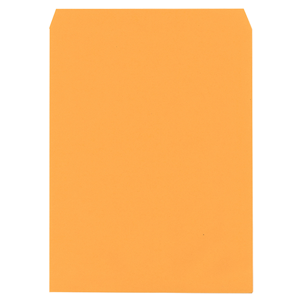 Official Envelope
