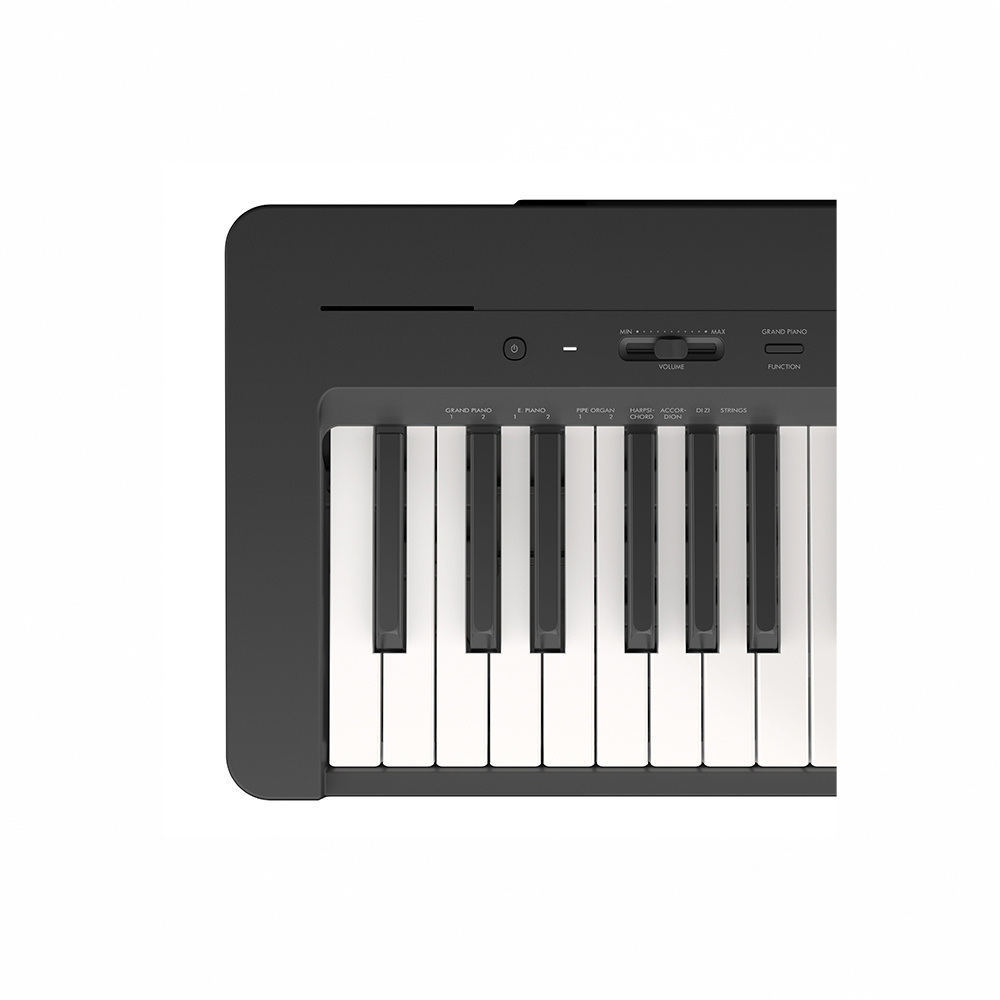 YAMAHA P145, , large