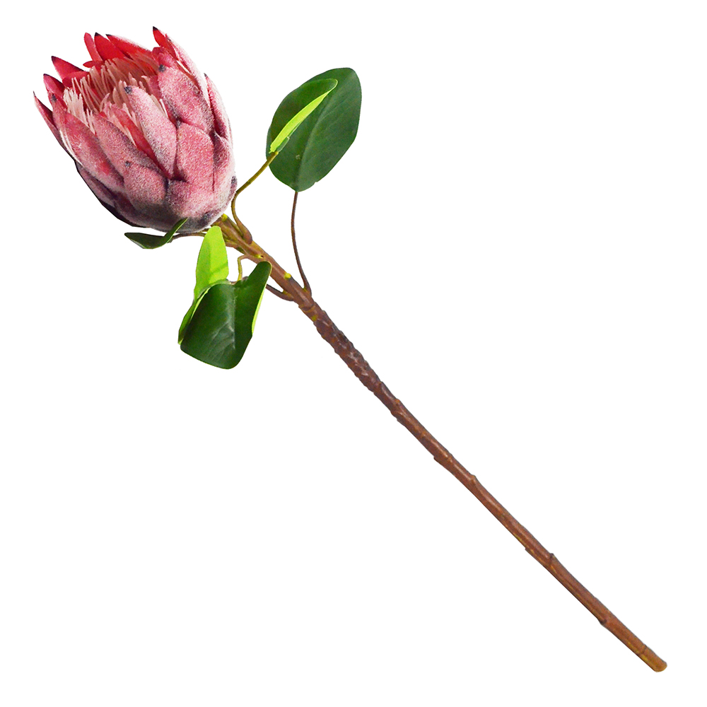 【YU Living】仿真裝飾大帝王花 人造花 園藝造景-桃紅, , large