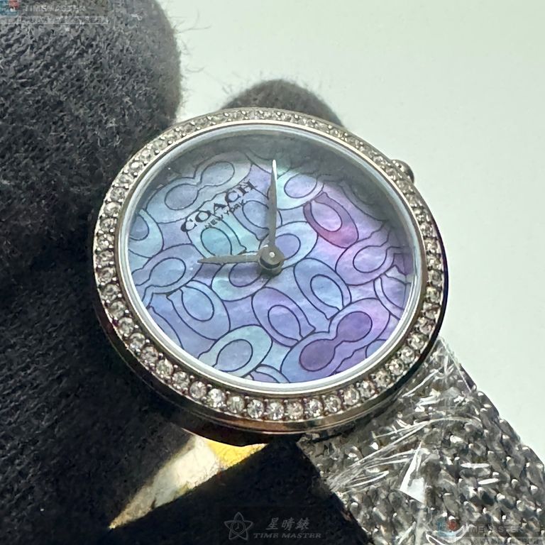 [TIMEMASTER] COACH watch, 28mm, CH00251, , large