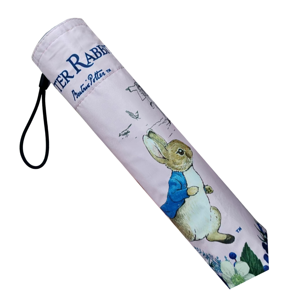 Peter Rabbit, , large