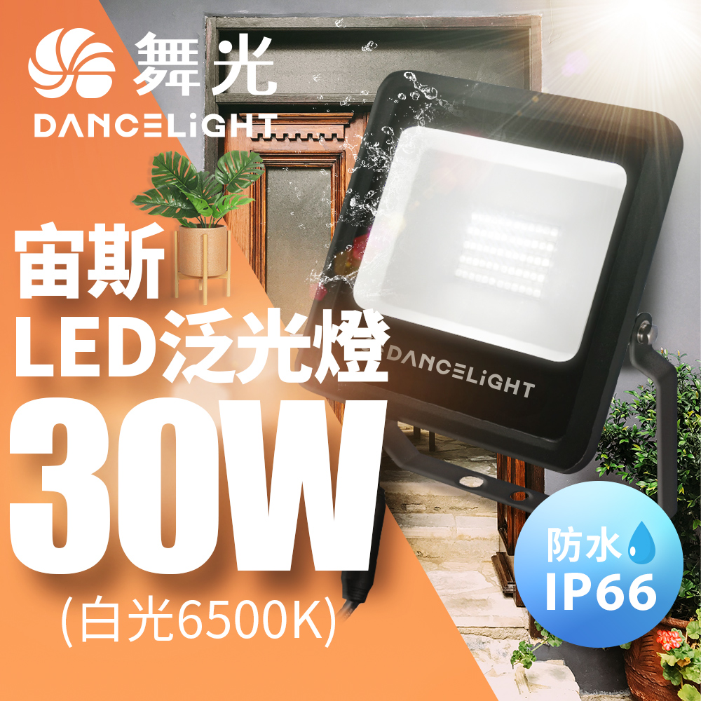 DanceLight dance light windproof and waterproof high brightness 140 degree light outdoor Zeus 30W floodlight floodlight (white light), , large