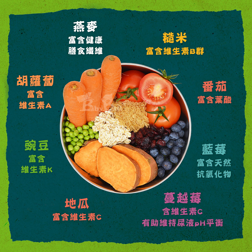 【倆寶貝精品館】Benevo倍樂福 英國素食認證犬貓主食罐頭354g (班尼佛)ｘ2入, , large