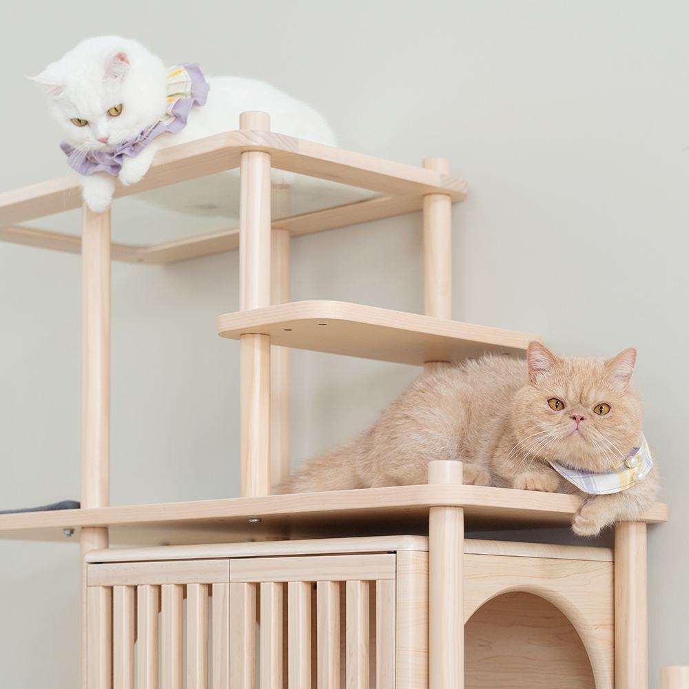 【paipaipets】Bien Bien Cat Tree - Short-Legged Cat Deluxe Jumping Platform, , large