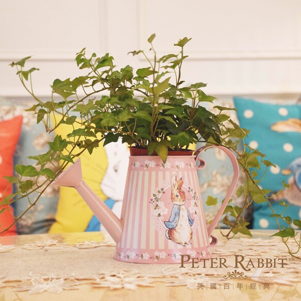 Peter Rabbit, , large