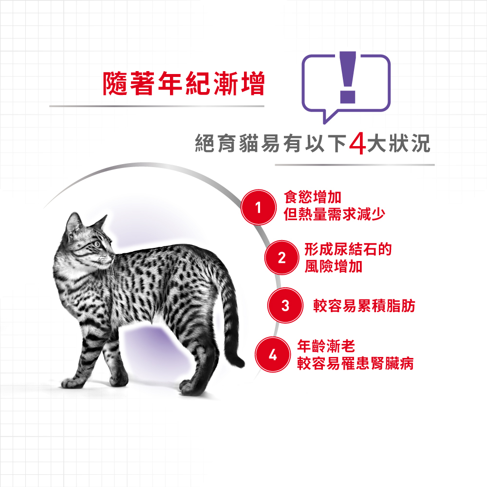 【Royal Canin法國皇家】絕育熟齡貓7+歲齡S36+7, , large