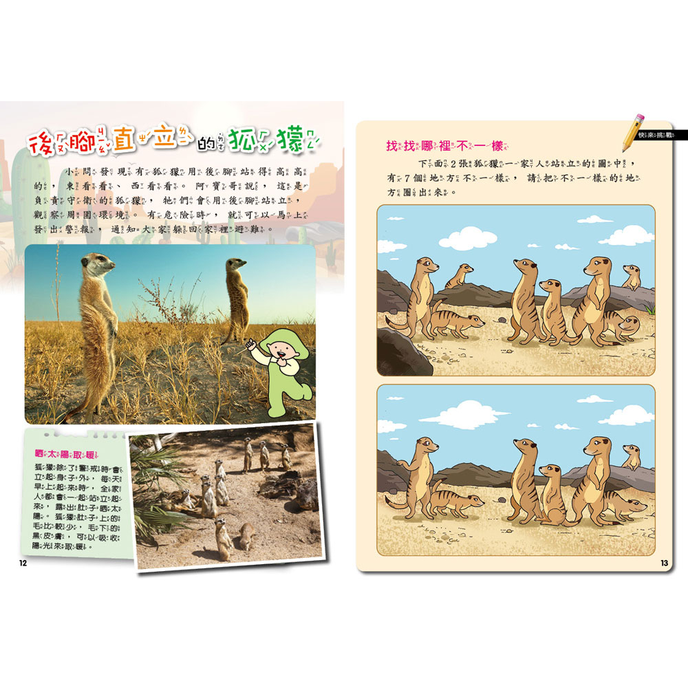 [小牛頓]PLAY&LEARN：沙漠冒險 適合5-8歲 平裝全彩 高階遊戲書, , large